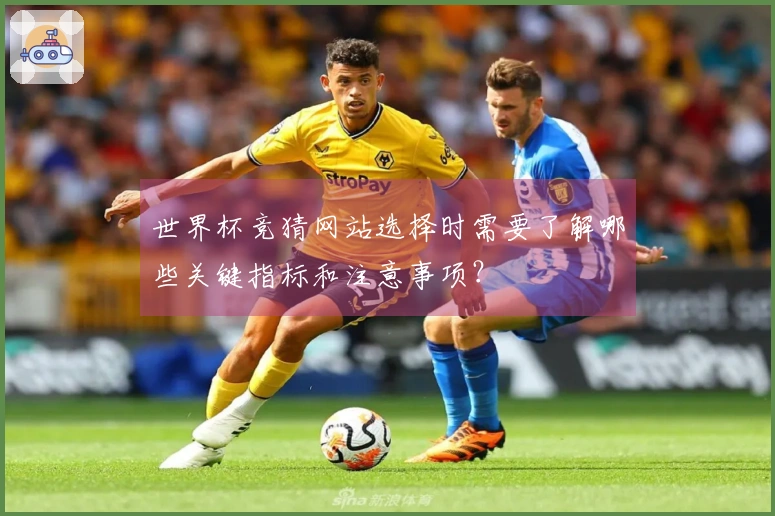 世界杯竞猜网站选择时需要了解哪些关键指标和注意事项？