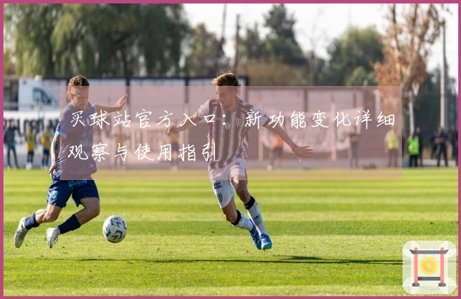 买球站官方入口：新功能变化详细观察与使用指引
