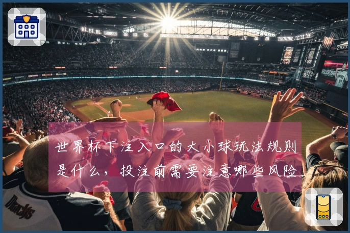 世界杯下注入口的大小球玩法规则是什么，投注前需要注意哪些风险？