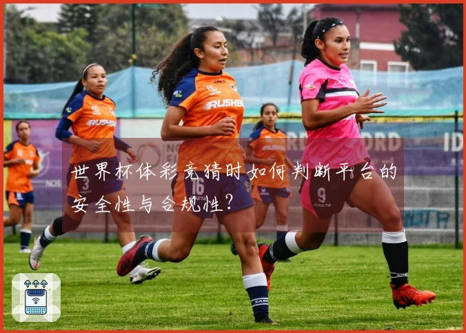 世界杯体彩竞猜时如何判断平台的安全性与合规性？