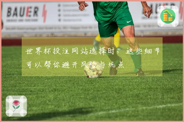 世界杯投注网站选择时，这些细节可以帮你避开风险与坑点