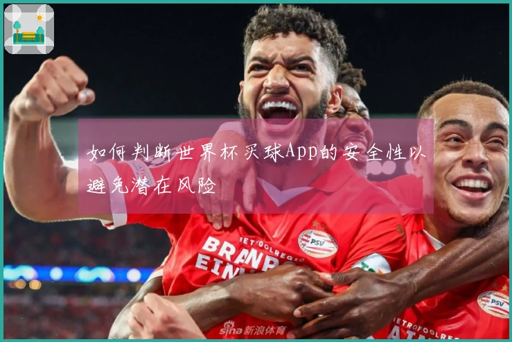 如何判断世界杯买球App的安全性以避免潜在风险