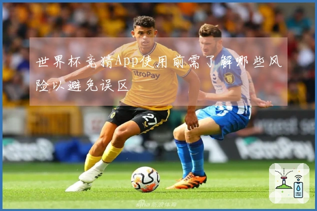 世界杯竞猜App使用前需了解哪些风险以避免误区
