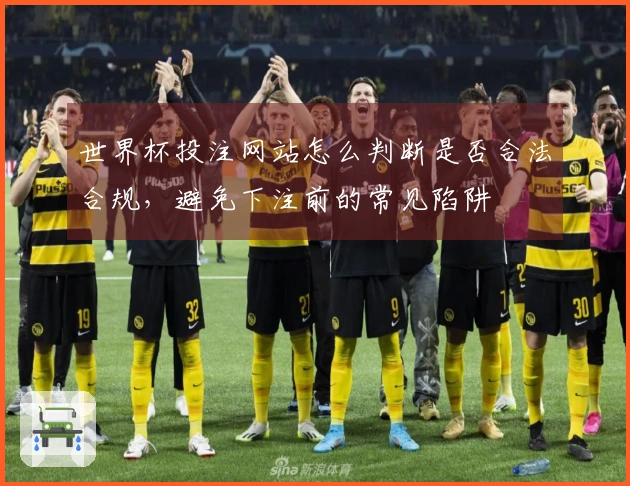 世界杯投注网站怎么判断是否合法合规，避免下注前的常见陷阱