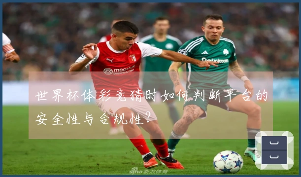 世界杯体彩竞猜时如何判断平台的安全性与合规性？