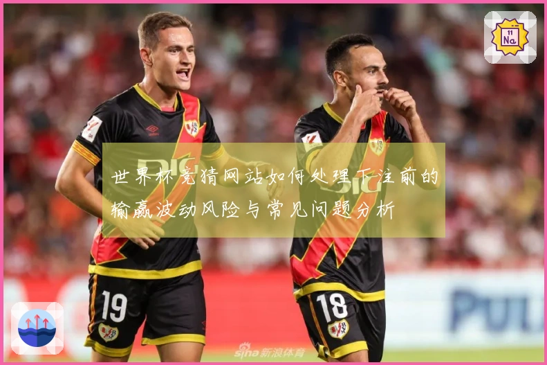 世界杯竞猜网站如何处理下注前的输赢波动风险与常见问题分析