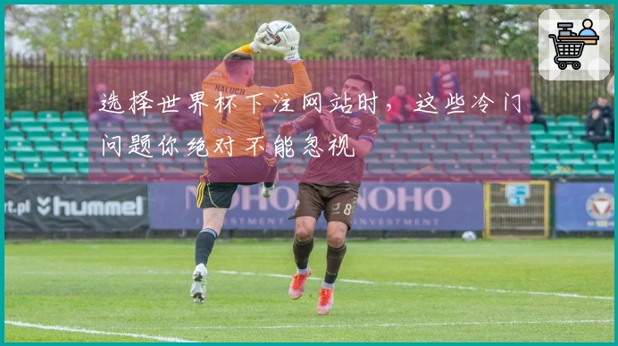 选择世界杯下注网站时，这些冷门问题你绝对不能忽视