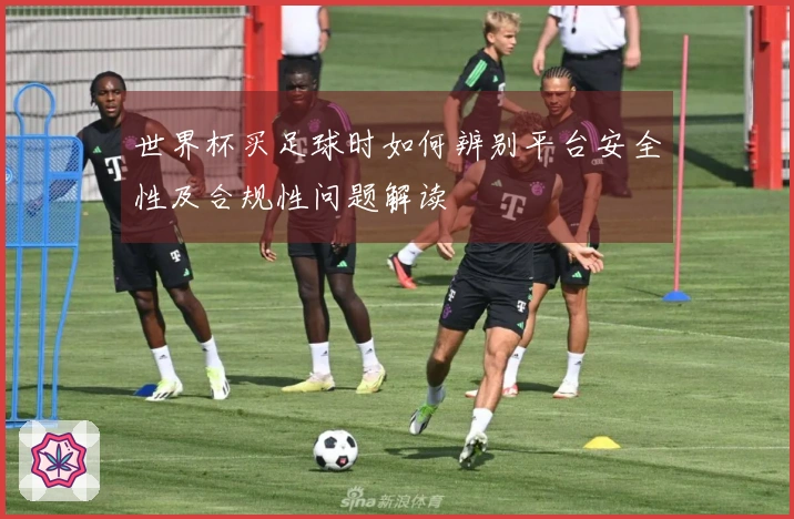 世界杯买足球时如何辨别平台安全性及合规性问题解读