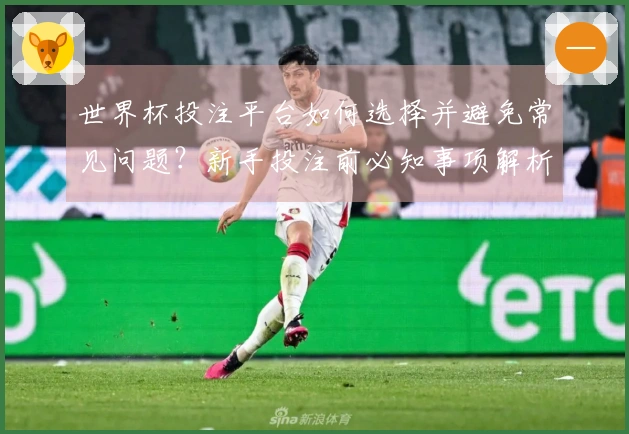 世界杯投注平台如何选择并避免常见问题？新手投注前必知事项解析